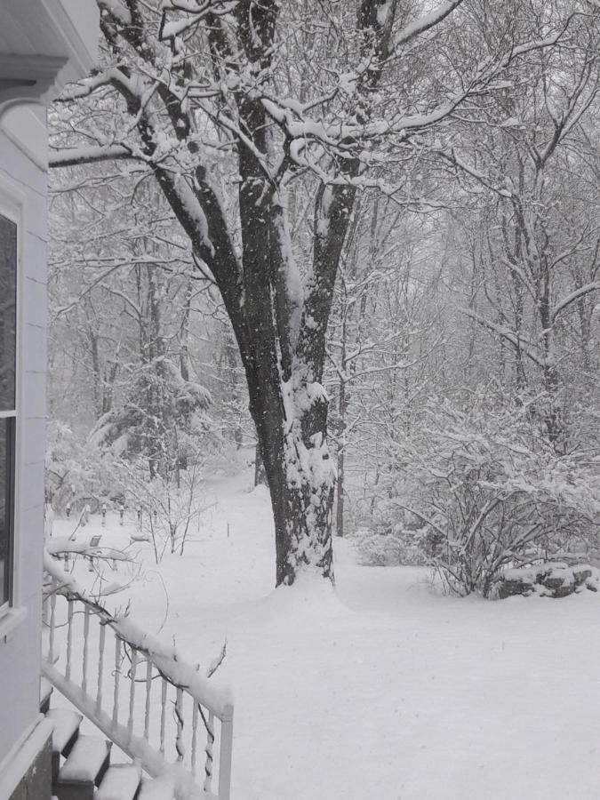 Proctor Mansion Inn Wrentham Εξωτερικό φωτογραφία